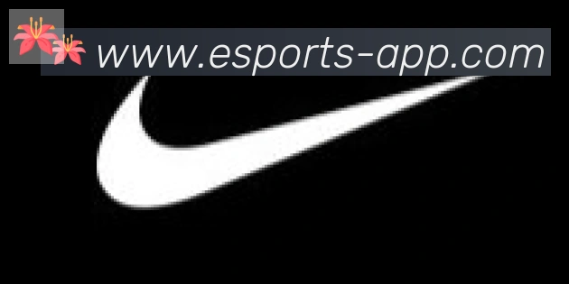 CSGO竞猜合作伙伴